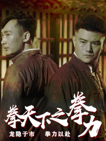 拳天下之拳力