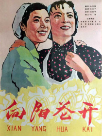 向陽(yáng)花開