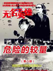 無名英雄·第八部