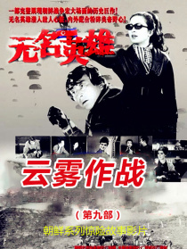 無名英雄·第九部