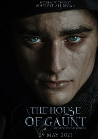 冈特家族：伏地魔起源