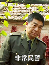 非常民警