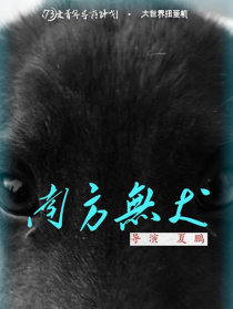 南方无犬