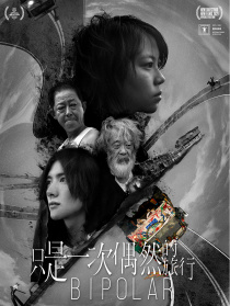 只是一次偶然的旅行