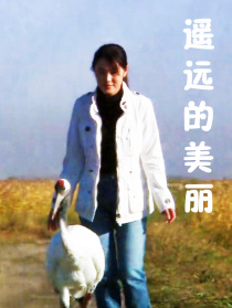 遥远的美丽
