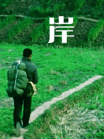 岸