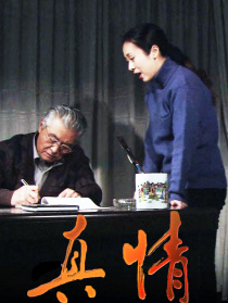 真情