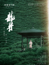 龙井
