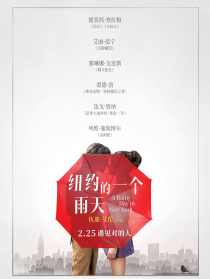 纽约的一个雨天