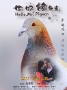 你好，鴿先生