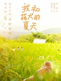 我和萌犬的夏天