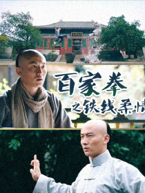 百家拳之鐵線柔情