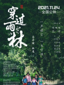 穿過雨林