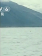 赵羽青