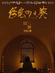 傍晚向日葵