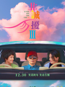 非诚勿扰3
