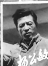 楊公敏