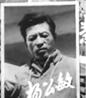 楊公敏