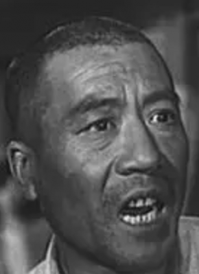 郭书田