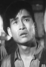 苗靈