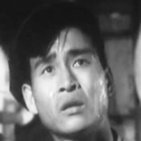 苗灵