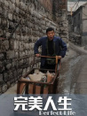 完美人生