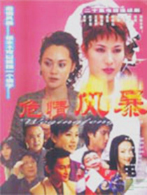 危情风暴
