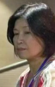 陈美缎