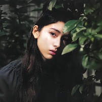 新音