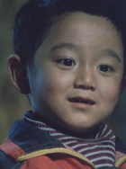 王振