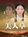 美人草