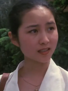 赵心田