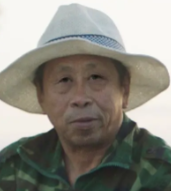 宿树合