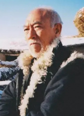 李振芳