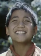 仔戈