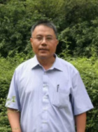张原