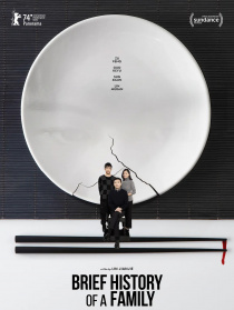 家庭简史