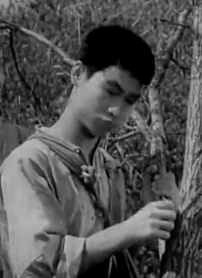 王恩启