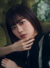 楠木燈