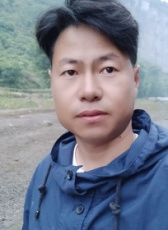 齊飛