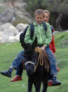 阿不都力瓦力·阿不都瓦依提