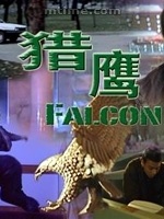 獵鷹