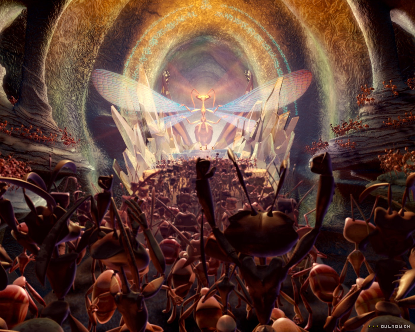 别惹蚂蚁电影中文版