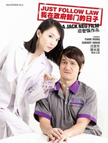 我在政府部門的日子