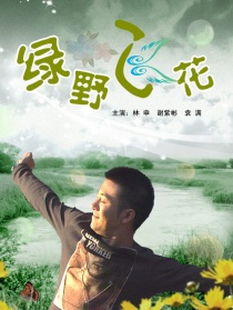 綠野飛花