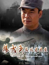 楊成武強攻東團堡