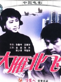 大雁北飛