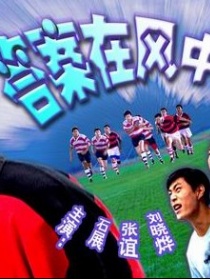答案在风中