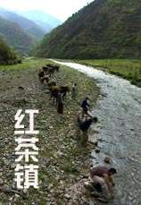 紅茶鎮(zhèn)