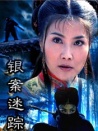 银案迷踪